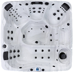 Avalon EC-867L hot tubs for sale in hot tubs spas for sale Chandler