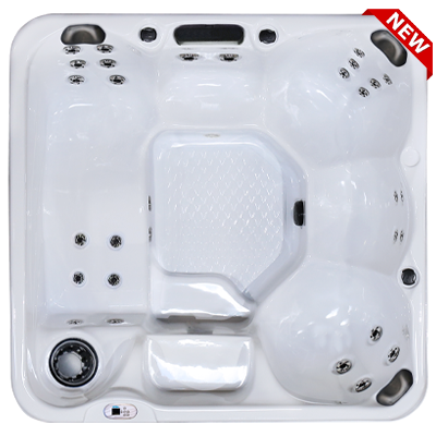 Hawaiian Plus PPZ-628L hot tubs for sale in hot tubs spas for sale Chandler